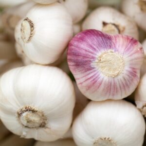 Garlic, bulbs, MSC for export