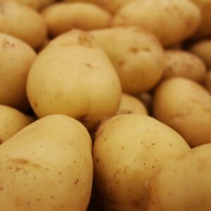 Potato, MSC for export
