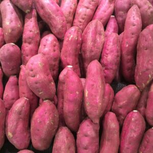 Sweet potato, MSC for export